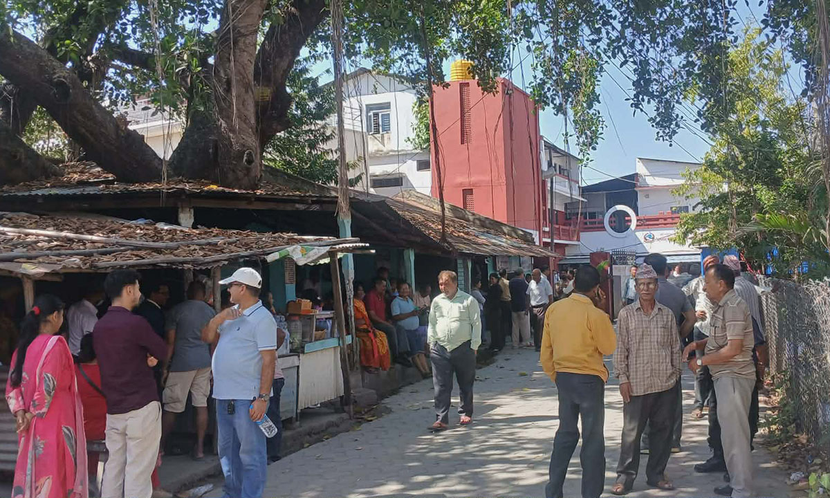 लेखापढी व्यवसायीको आन्दोलनले मालपोत र नापीमा काम ठप्प: सेवाग्राही मारमा